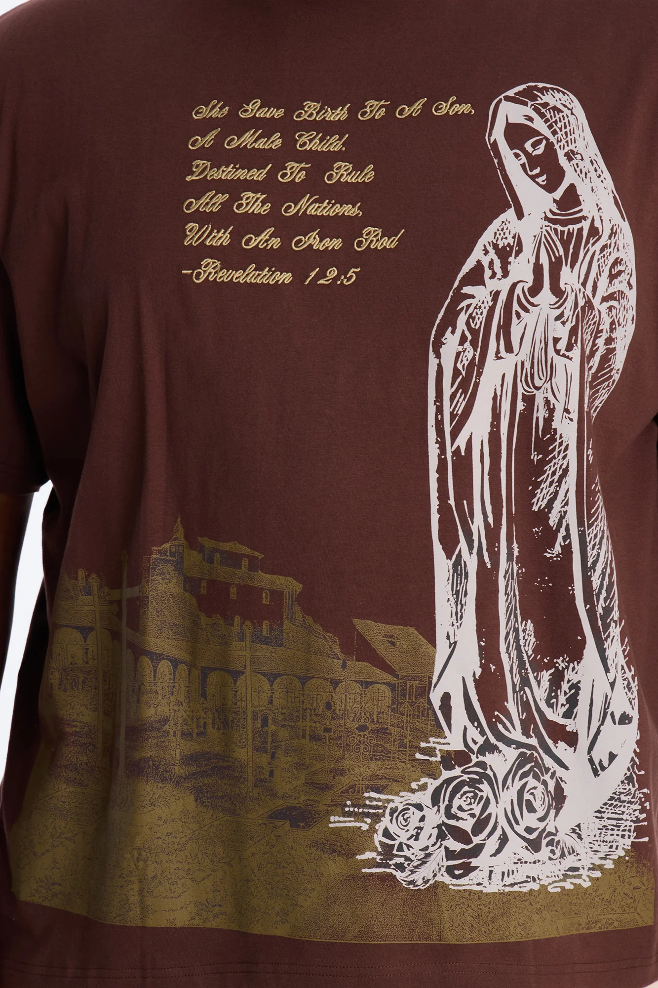 Always Believe Embroidered Short Sleeve Fleece Tee - Brown - Image 6