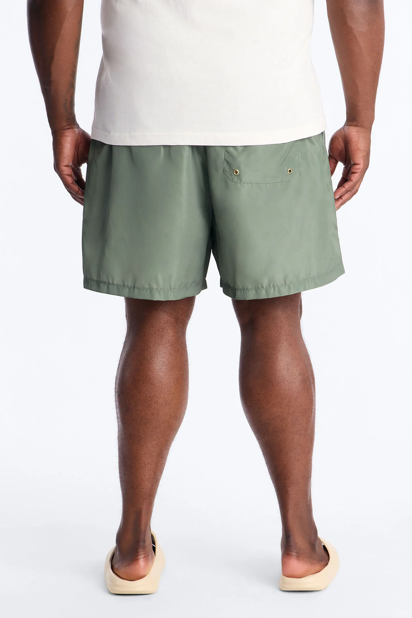 Da Vinci Museum Art Swim Trunk 6″ - Green - Image 8