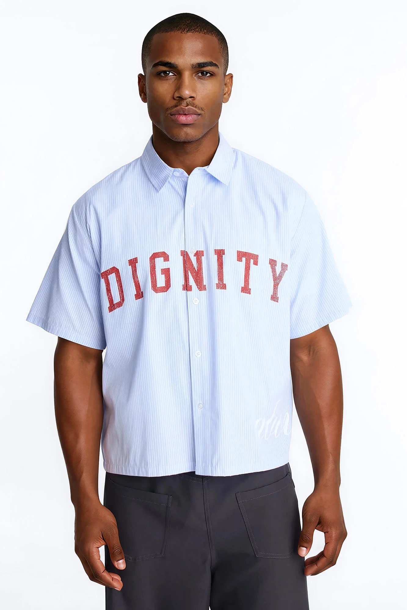 Dignity Heavenly Striped Button Up Shirt - Blue