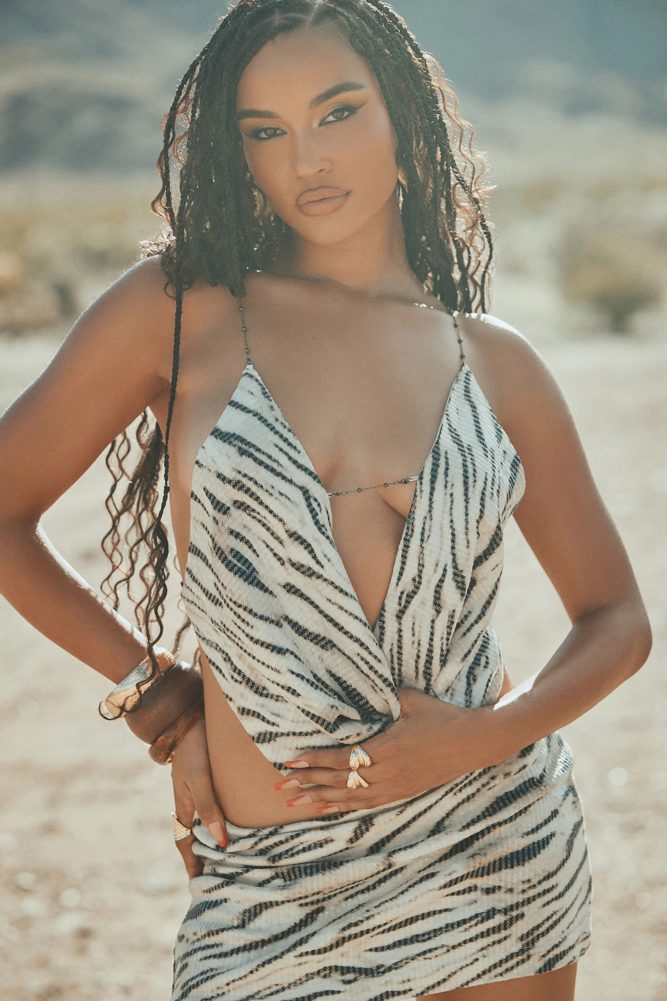 Natalie Sequin Zebra Skirt Set - Natural/Combo