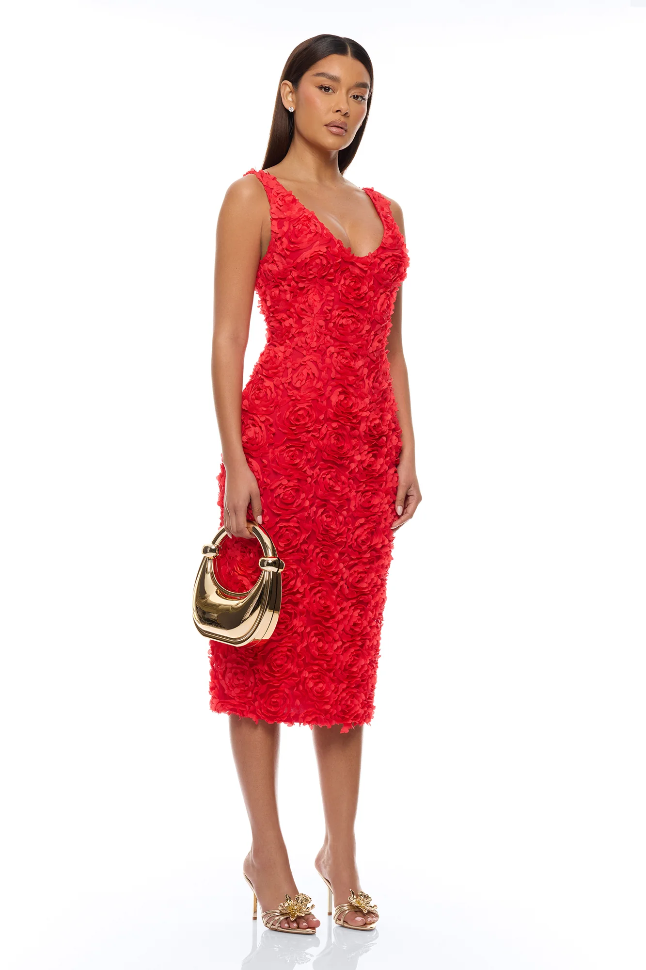 Rose Gardens Floral Applique Midi Dress - Red