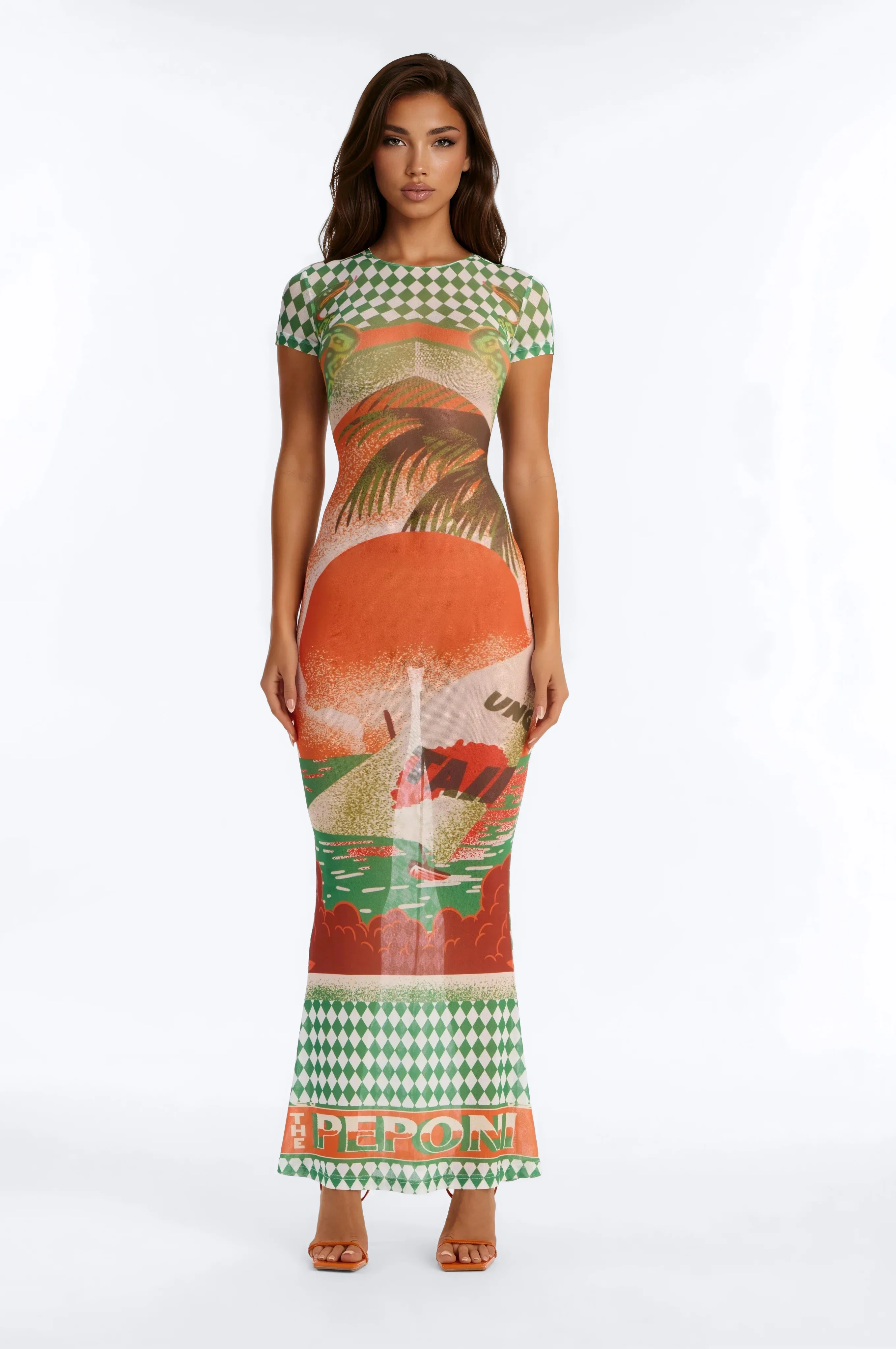 Take Me On A Trip Mesh Maxi Dress - Green/combo
