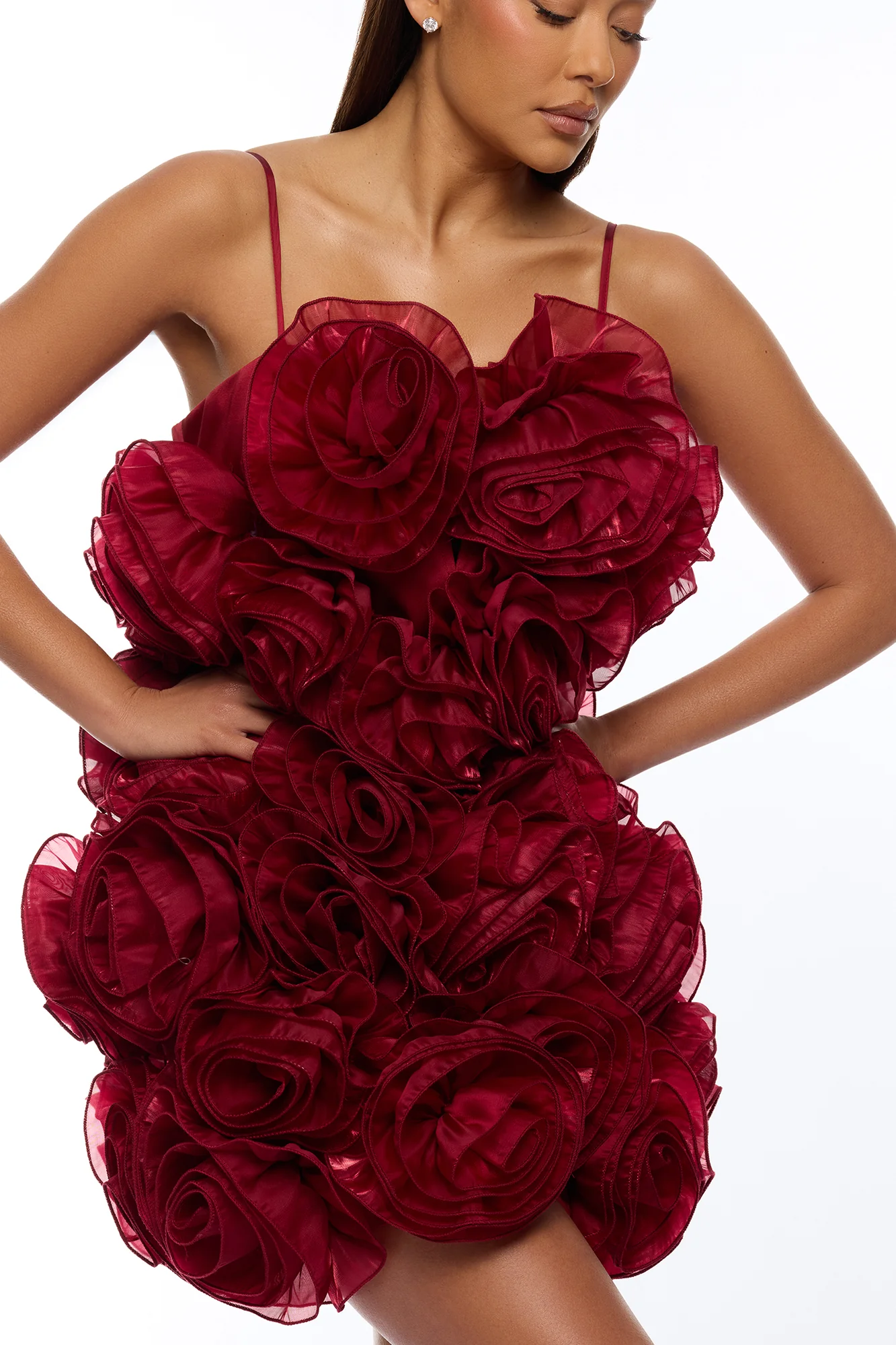 Wild Roses Floral Applique Mini Dress - Wine - Image 3